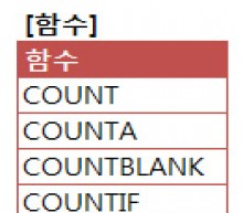 셀의 개수를 세는 함수(COUNT,COUNTA,COUNTIF,COUNTBLANK)+COUNTIFS