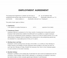 EMPLOYMENT AGREEMENT 썸네일 이미지